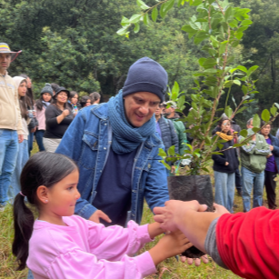 Jornada de siembra de árboles en el Refous
